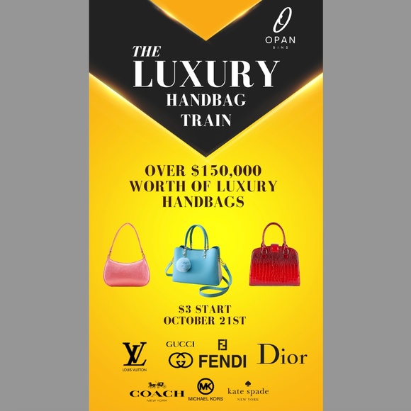 The Luxury Handbag TRAIN - Picture 1 of 1